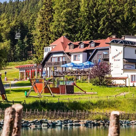 Alpenhotel Enzian 3*